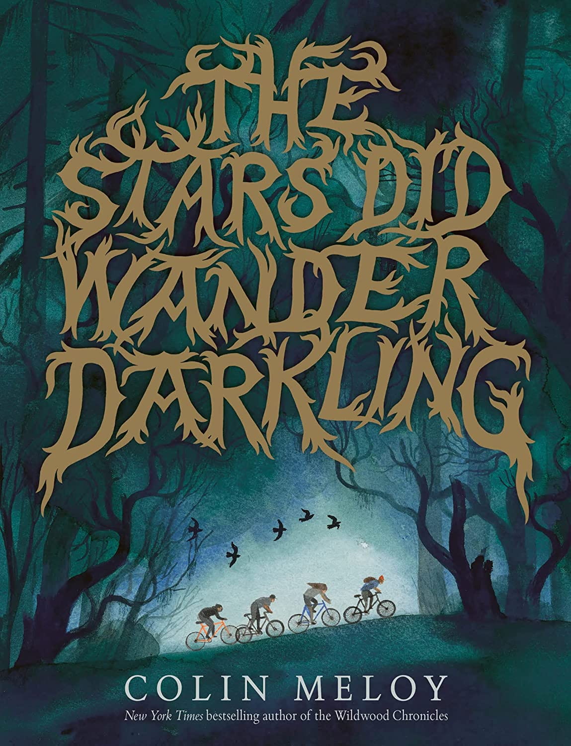 The Stars Did Wander Darkling<br />
 by Colin Meloy